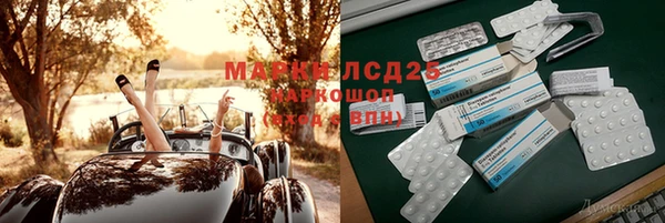 прущие грибы Алзамай